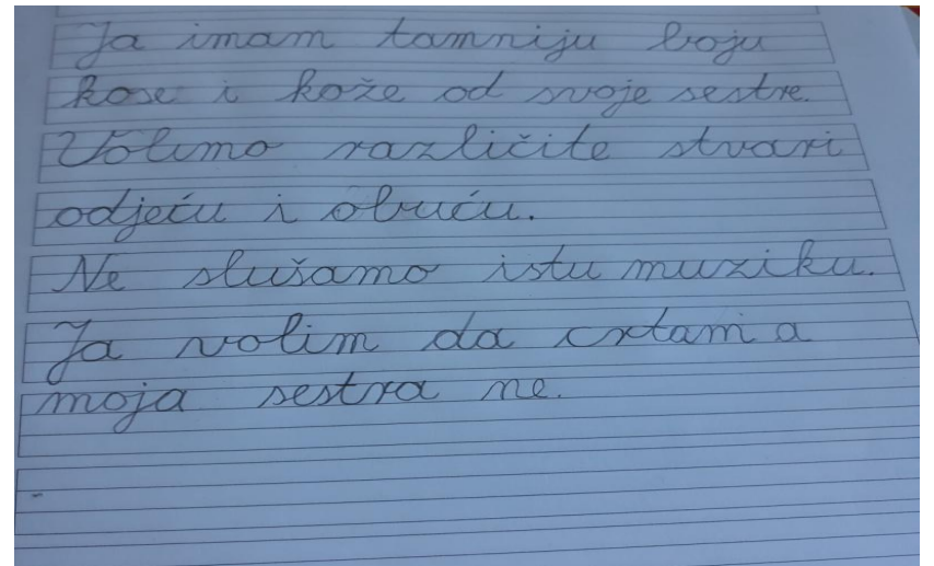 S Ružnim pačetom kroz školsku godinu