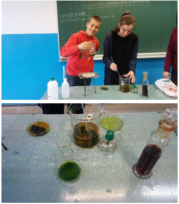 Modeli ćelija, virusa i organa, makete i laboratorijski ogledi