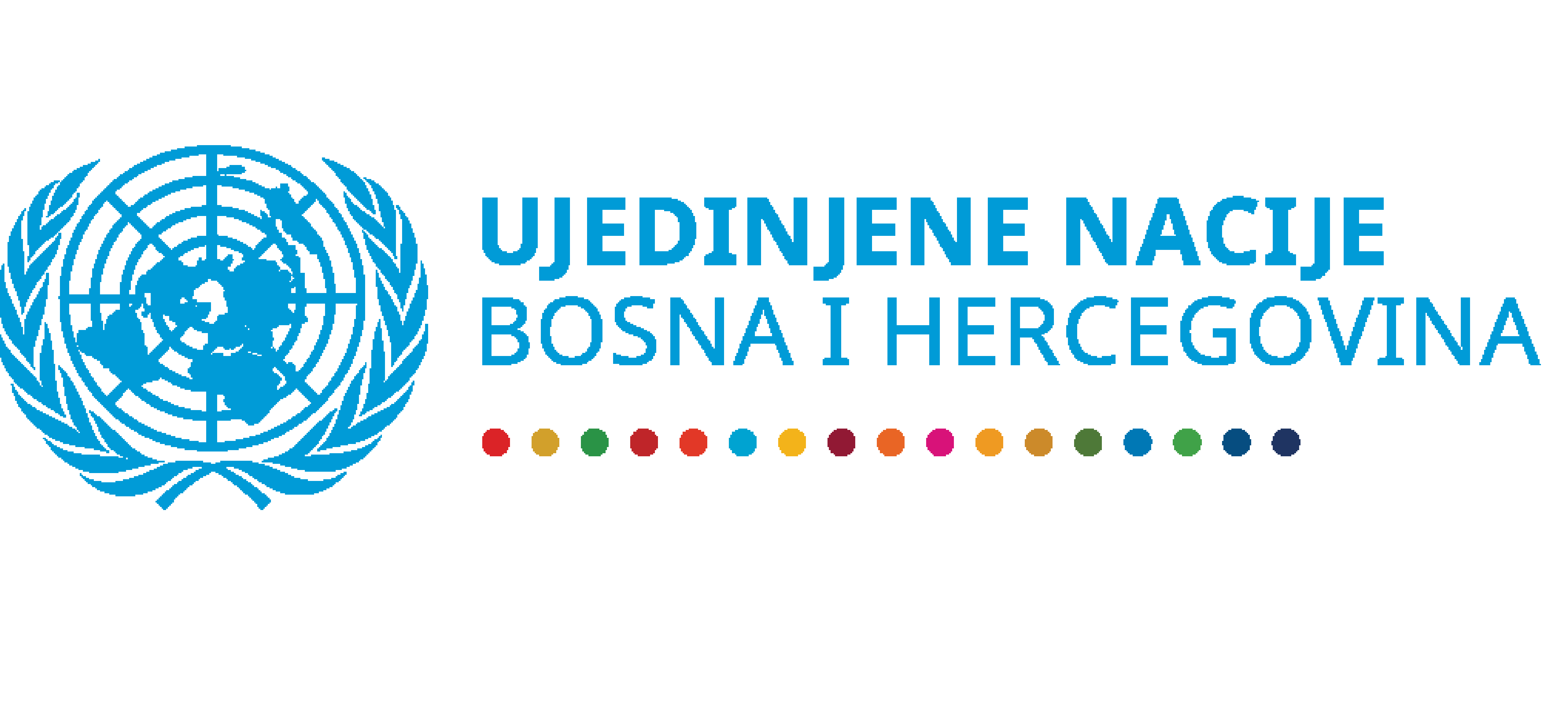 Institut für Auslandsbeziehungen